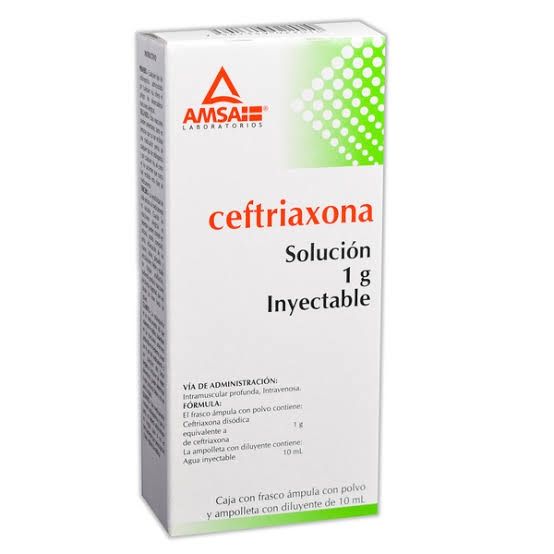 Ceftriaxona 1 Gr Iv Fa 10 Ml